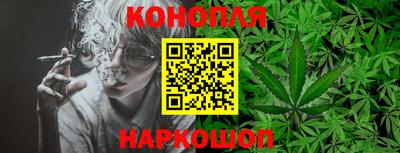 гашик Усть-Илимск
