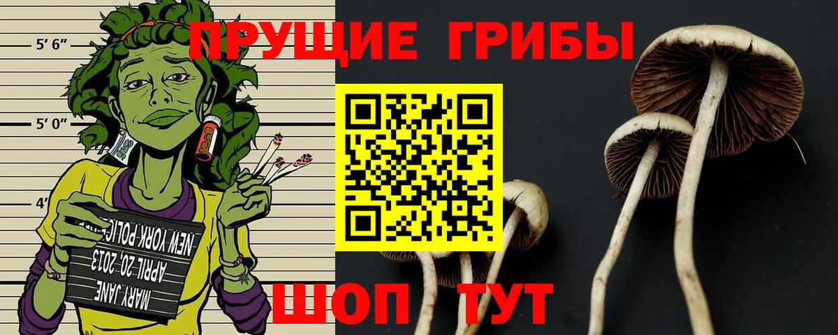 Галлюциногенные грибы Cubensis Нягань
