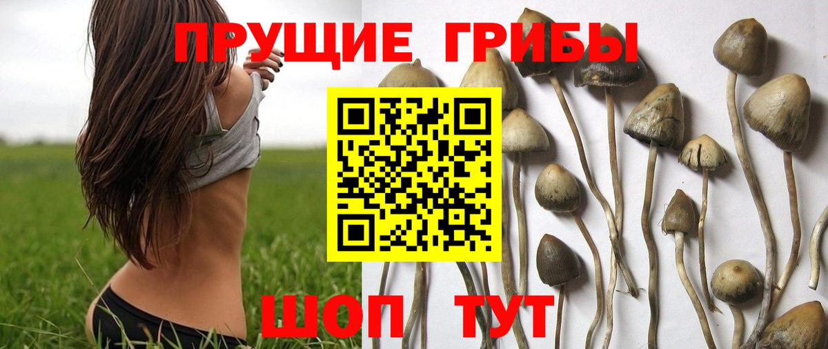 Псилоцибиновые грибы мухоморы  купить закладку  Нягань  Вход с VPN 